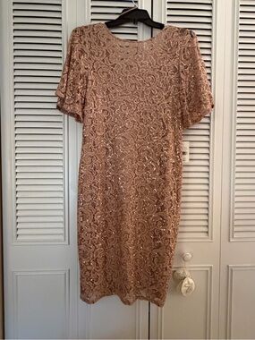 Elegant Sequin Lace Short Sleeve Dress in Blush